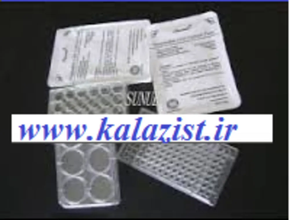 پلیت کشت سلول 6 خانه ST
